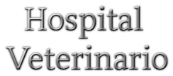 Hospital Veterinario CDMX